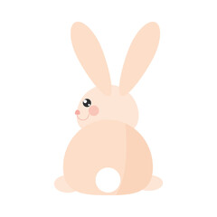 cute bunny animal