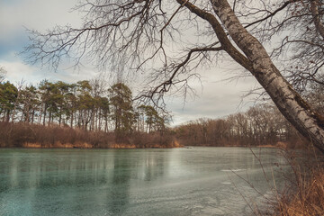 winter photography on a lake in the bavarian city of ingolstadt