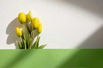 Bouquet of yellow tulips isolated on white background. Spring flowers. Greeting card for Birthday, Woman 's Day,, Mother's Day, Valentine's day. Flat lay. Copy space.