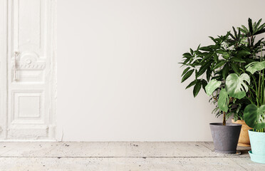 White mock up interior with old rustic doors and variety of decorative house potted plants  3D...