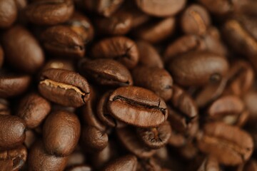 coffee beans on a white background