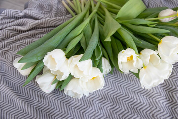 Bouquet of fresh white tulips on a grey plaid blanket. Spring holidays concept background. Top view. Bouquet for a girl, gift.