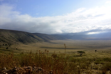 Ngorongoro - sjezd do kráteru