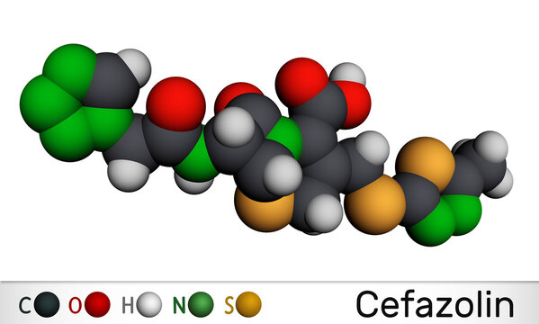 Cefazolin, cefazoline, cephazolin molecule. It is s beta-lactam antibiotic, first-generation cephalosporin. Molecular model. 3D rendering