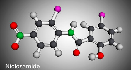 Niclosamide molecule. It is chlorinated salicylanilide, antihelminthic drug for the treatment of tapeworm infections. Molecular model. 3D rendering
