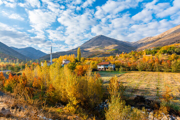 Obraz premium A village view with autumn colors in Malatya Province