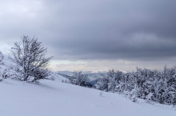 zima w Bieszczadach 