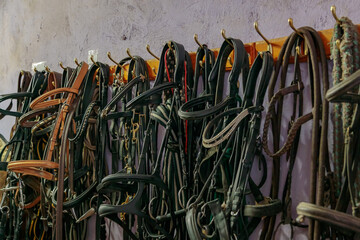 Kits of leather bridles and bats hang on the walls of the stable.