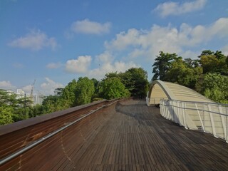 Obraz premium Alexandra Arch and Henderson Waves at the Southern Ridges in Singapore - シンガポール サザンリッジ アレクサンドラ アーチ ヘンダーソン・ウェーブス