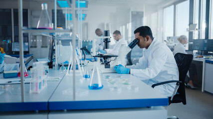 Modern Medical Research Laboratory: Diverse Team of Scientists Working with Pipette, Analysing...