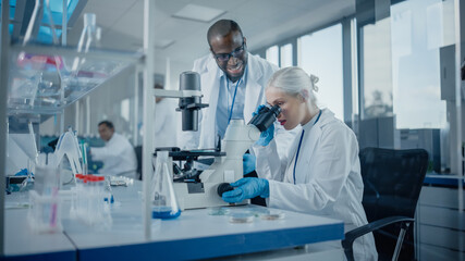 Modern Medical Research Laboratory: Two Scientists Working Together Using Microscope, Analysing...