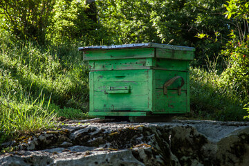 Fototapeta premium a bee hive made of wood