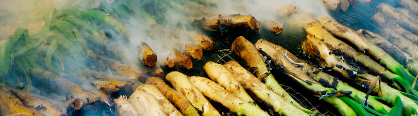 calcots, onions typical of Catalonia, web banner