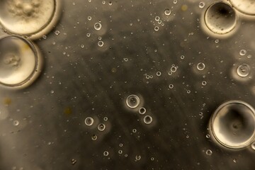 Abstract colorful circular shaped elements as background template