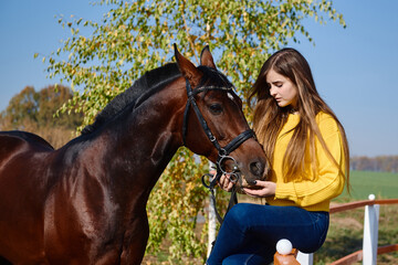 Fototapeta premium Young female farmer taking care about horse on ranch on summer day, copy space. Girl and brown horse outdoors