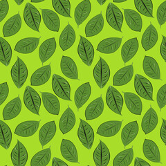 Fototapeta premium Color seamless pattern of leaves on a light green background.