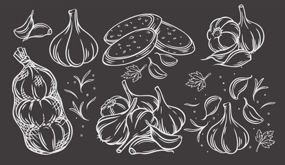 Garlic outline drawn monochrome icon set on blackboard. Engraved drawn white on black pile of garlic bulbs, in net bag and runchy garlic bread. Vector illustration of vegetables, farm product.