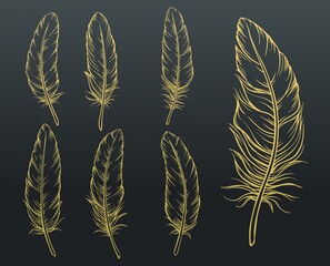 Sketch feathers set. Golden hand drawn bird feather on black background. Vector illustration © Victoria Sergeeva