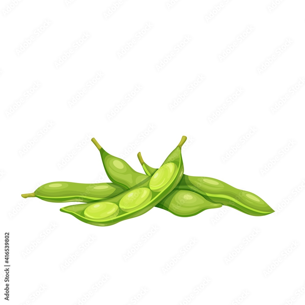 Poster Soybean pods, edamame beans vector illustration for ad soy product. - Posters