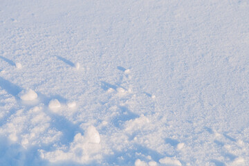 Snow Covered Field On A Sunny Day. Snow Texture Background