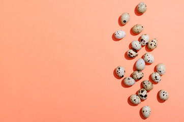 Top view of fresh quail eggs on the orange background.Bright and sunny