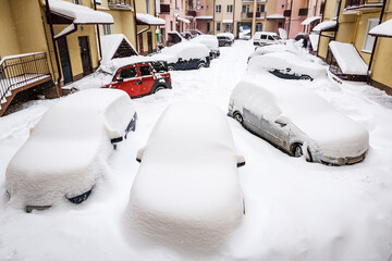 snow-covered cars after a snowfall