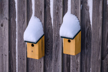 zwei Vogelhäuschen im Schnee
