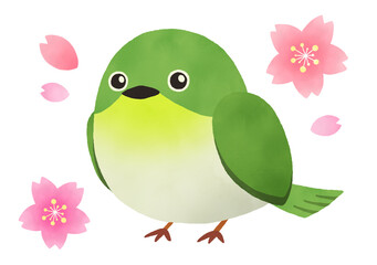 かわいいメジロと桜の水彩イラスト　日本