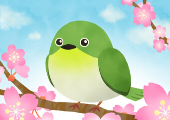 かわいいメジロと桜の水彩イラスト　青空　壁紙や背景に