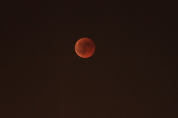 Bloody Moon 