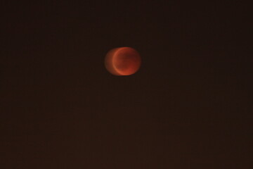 Bloody Moon 
