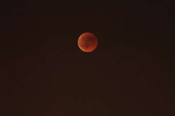 Bloody Moon 