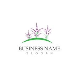 fresh lavender logo vector flat