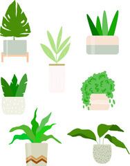 Hand drawn home plants in pots vector collection. Beautiful flat design illustration green set. Scandi home gardening concept. Flat design vector. Design element. Trendy floral interior element 