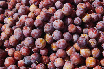 Bunch of fresh pink plums at the market on a sunny day. Healthy fruits. Horizontal photo. Farmers products.