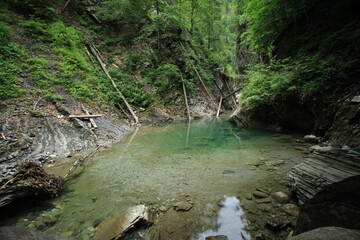 Mountain Stream 