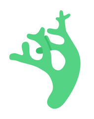 One sprig of yagel lichen on a white background