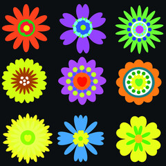 Flowers of different colors on a dark background. spring