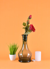 black bulb with rose on orange background with green grass and candles