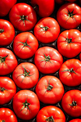 Full frame shot of fresh organic tomatoes