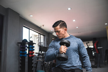 A fit asian man in a sweatshirt does alternating seated hammer curls. Working out and training...