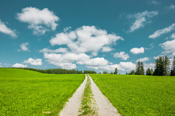 Weg auf einer Grünen Wiese