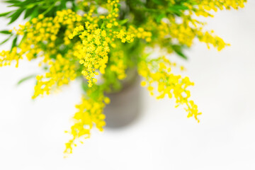 Obraz premium Bouquet of fresh yellow flowers in dark gray vase on white. Selective focus. Spring background.