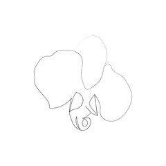 continuous line drawing of beautiful flowers