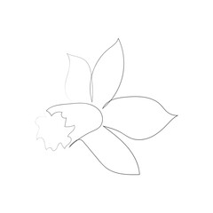 continuous line drawing of beautiful flowers