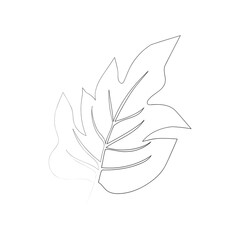 continuous line drawing of beautiful flowers