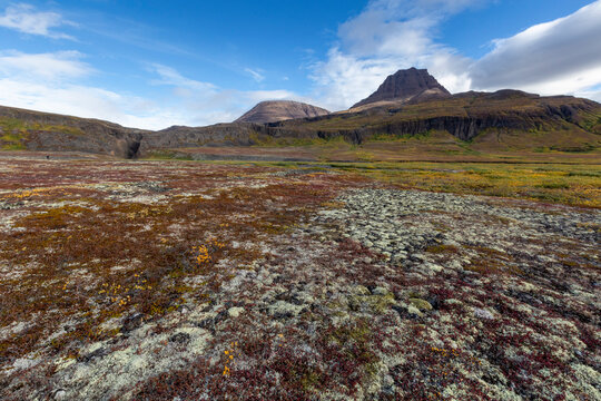 Open tundra and columnar basalt in Brededal, Disko Island, Qeqertarsuaq, Baffin Bay, Greenland, Polar Regions