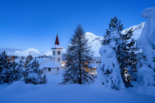 Chiesa Bianca and trees covered with snow at dusk, Maloja, Bregaglia, Engadine, Graubunden Canton, Switzerland, Europe
