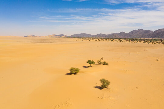 Aerial of crab's claw Arakao sand dune, Tenere Desert, Sahara, Niger, Africa