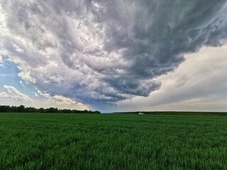 field and cloudy sky